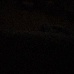 Meet your Posher, Jennie